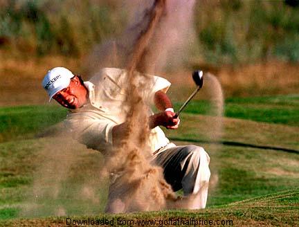 tomlehman11.jpg