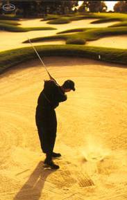 bunker_tiger008.jpg
