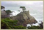 cypress_point_0204_1.jpg