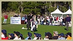 pebble_0204_1.jpg
