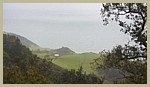 pebble_0204_11.jpg
