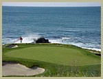 pebble_0204_15.jpg