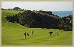pebble_0204_2.jpg