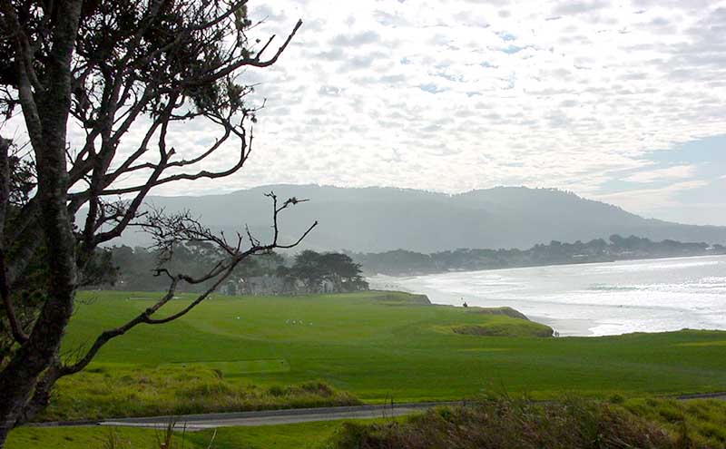 pebble_0204_8.jpg