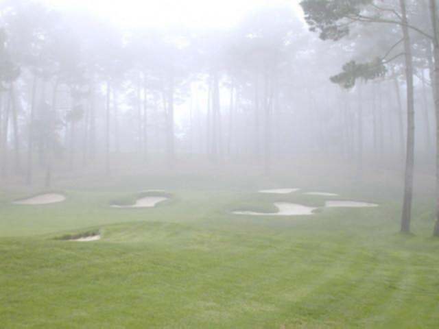 monterey7.jpg