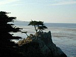 monterey16.jpg