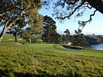 monterey5.jpg