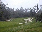 monterey6.jpg