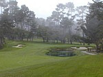 monterey8.jpg