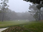 monterey9.jpg