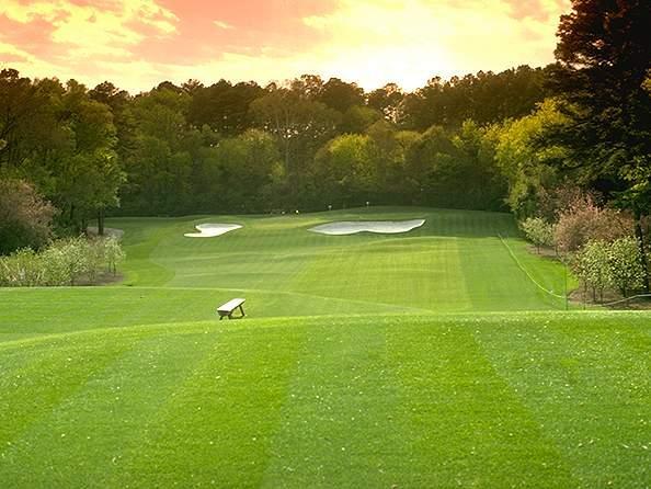 augusta_4.jpg