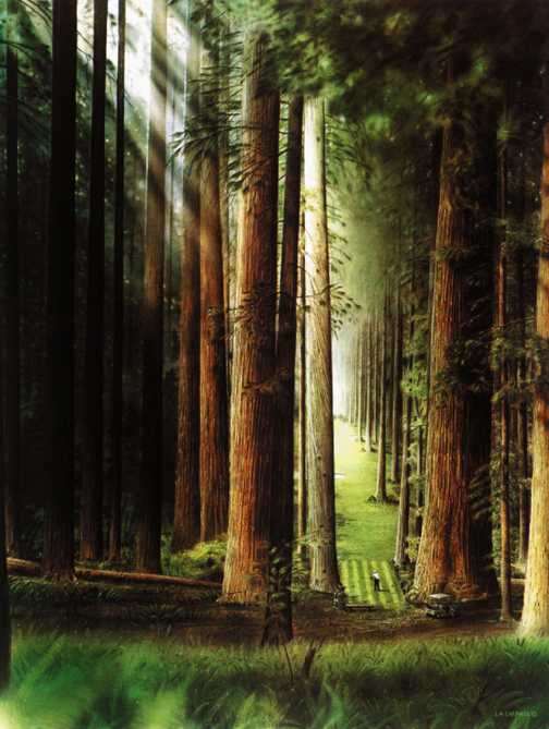 lno3redwood.jpg