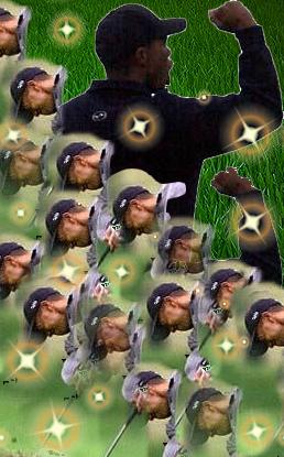 tiger_etoiles.JPG