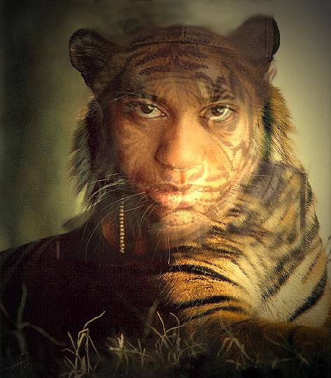 tiger_tigre2.jpg